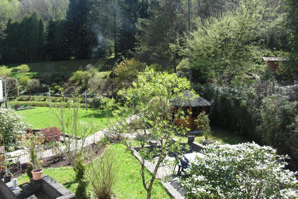 eine Luftblick auf einen Garten mit Bäumen und Sträuchern in der Unterkunft Pension zum Rothaarsteig in Netphen