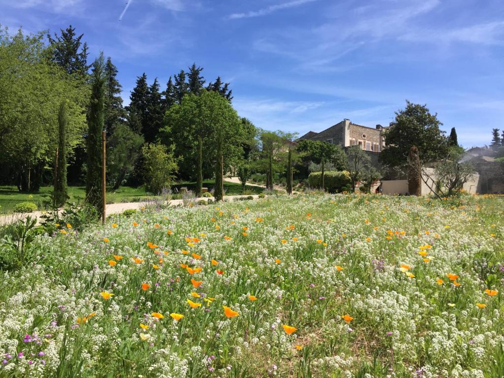 un campo de flores con una casa en el fondo en Domaine Les Martins - Gordes, en Gordes
