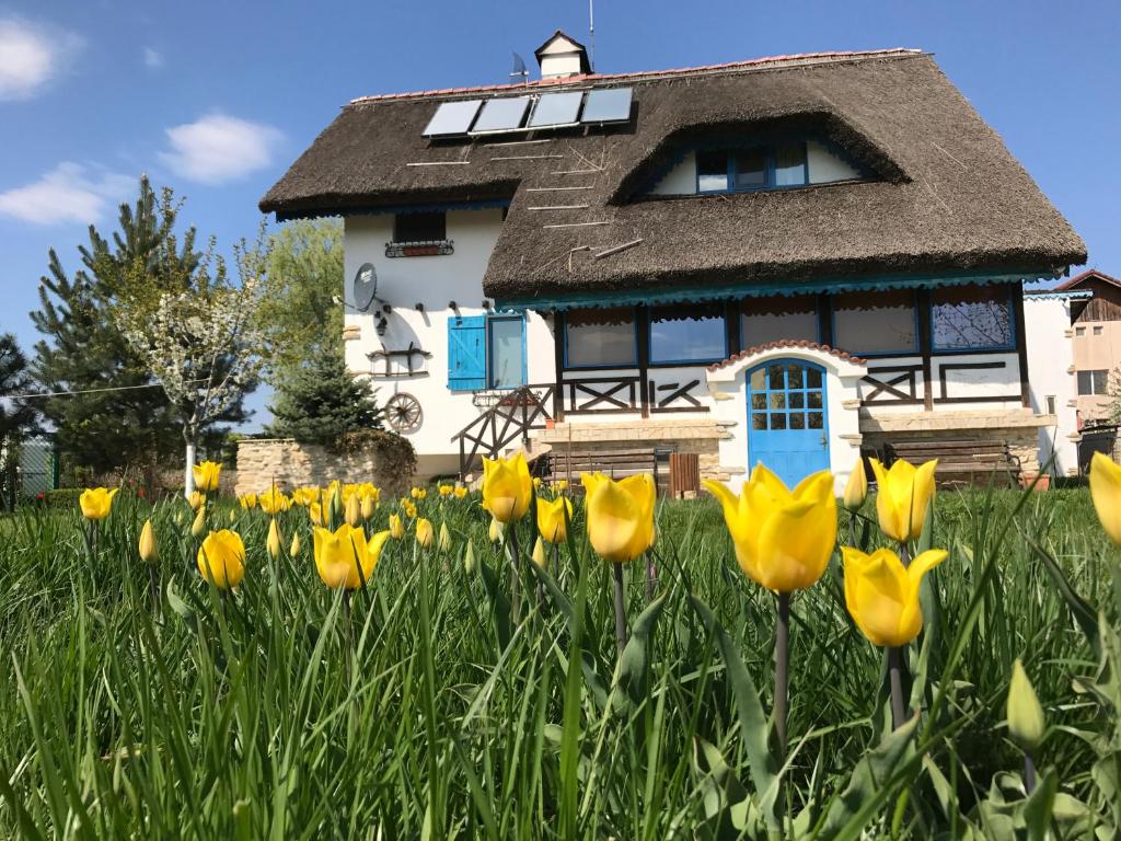 una casa con tulipanes amarillos delante de ella en Coliba Vanatorilor, en Maliuc