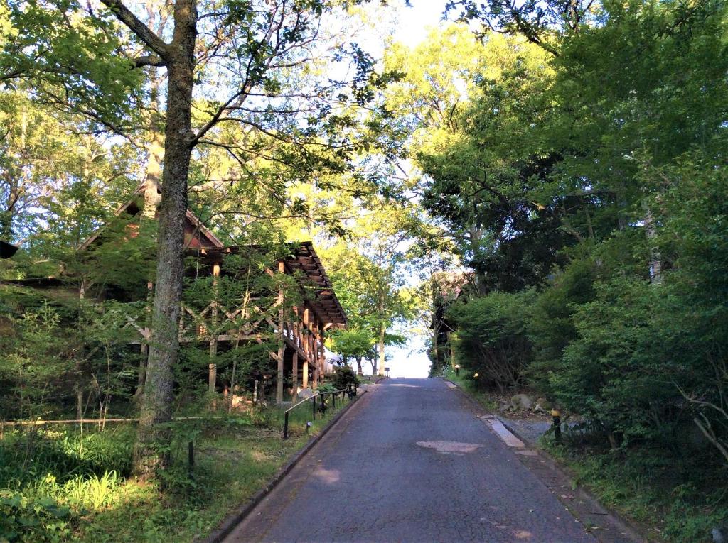 a tree lined road with a house in the distance at Kurasako Onsen Sakura in Minamioguni