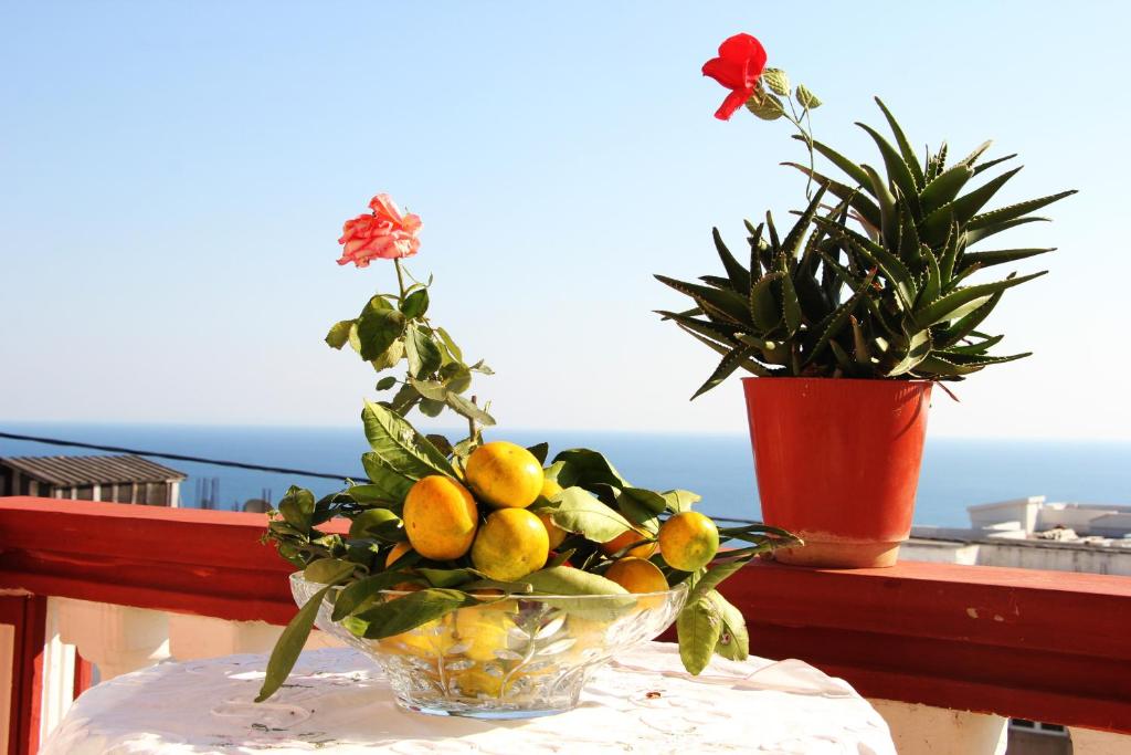 a bowl of lemons on a table with a plant at Alvanita Apartments in Ulcinj