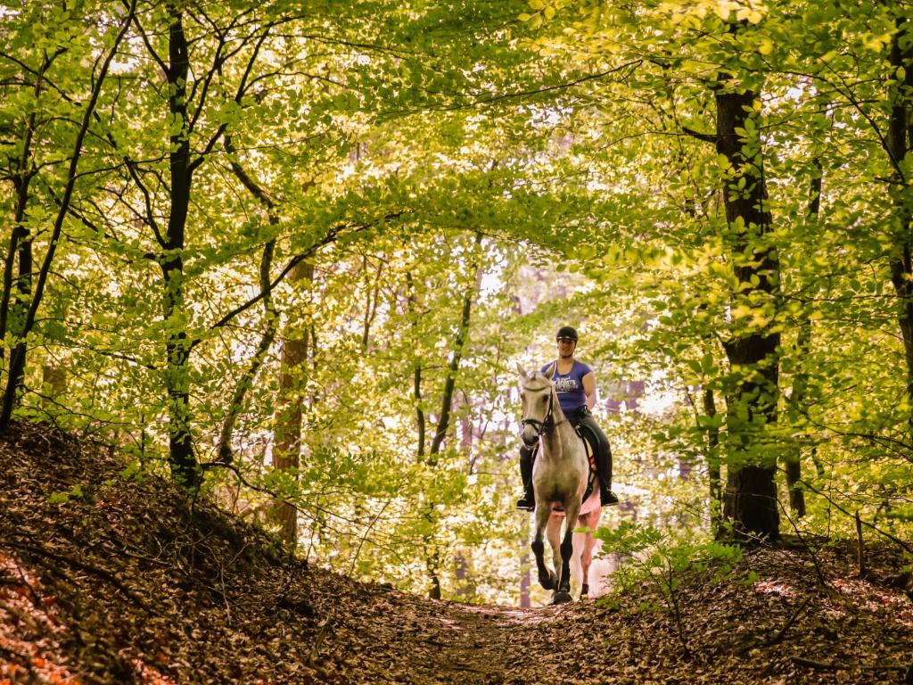 Hosté ubytování Relais & Chateaux Hotel Landgoed Het Roode Koper