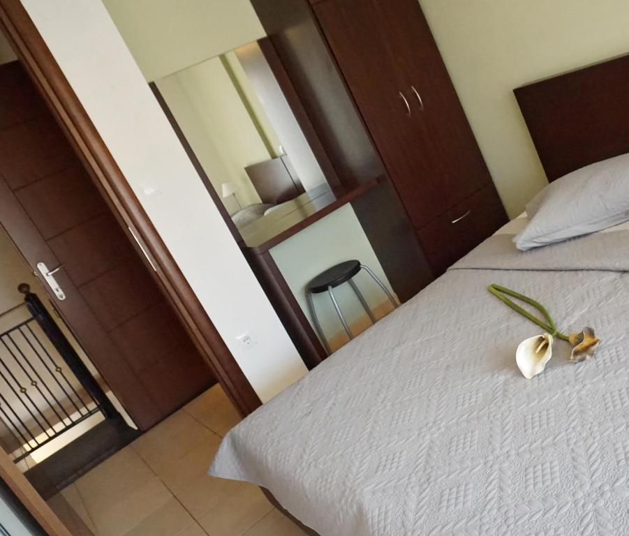 Ameris Studios & Apartments - 12