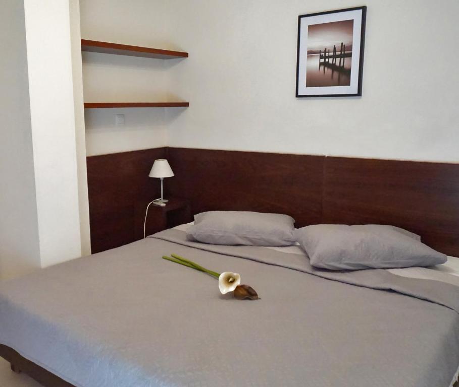 Ameris Studios & Apartments - 16