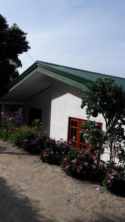 B&B Nuwara eliya - 15