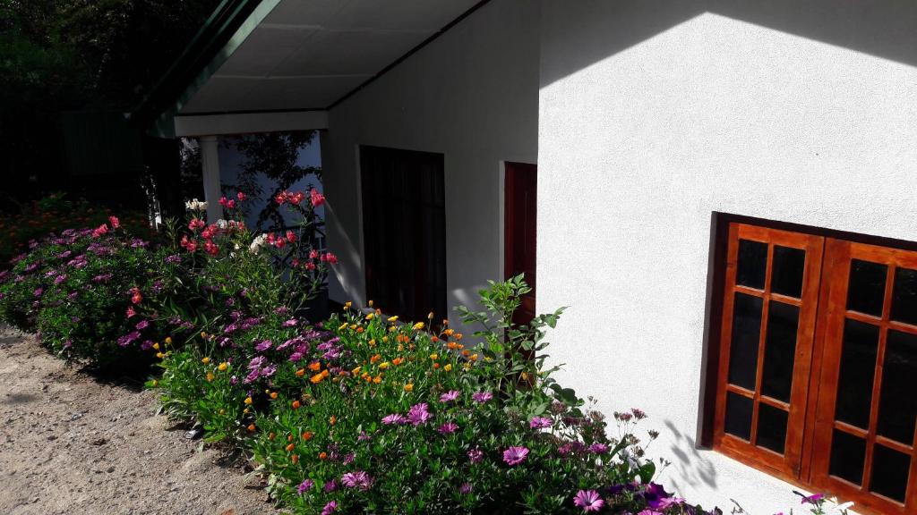 B&B Nuwara eliya - 14