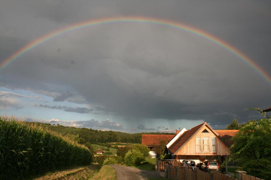 Příroda nedaleko apartmánu