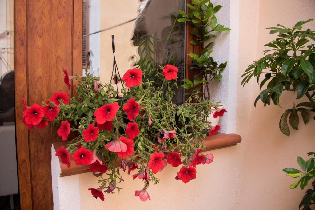 Zahrada ubytování B&B Quintino Sella