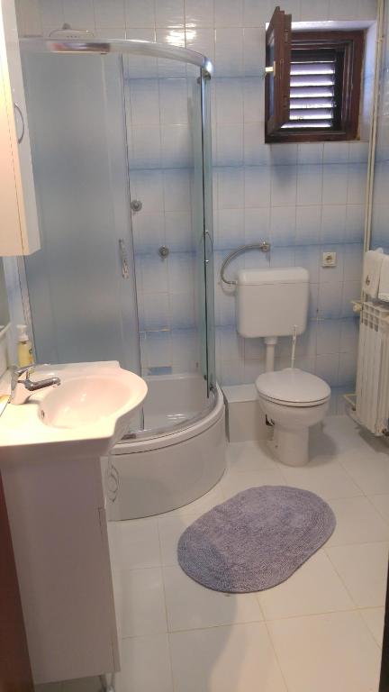 a bathroom with a shower and a toilet and a sink at Villa M&M - ZF Hvar in Hvar