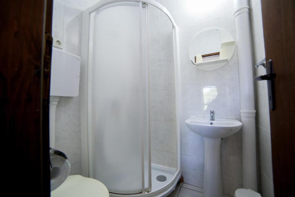 Koupelna v ubytování Guest House Aldin