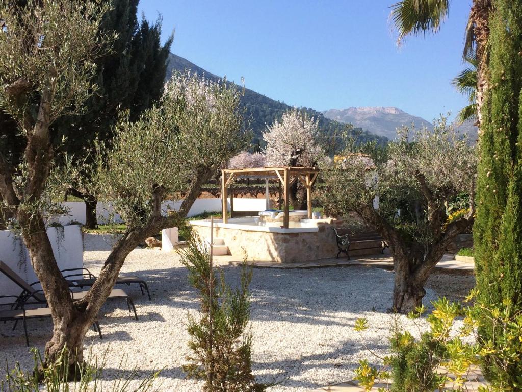 Buena Idea - Adults Only - 12