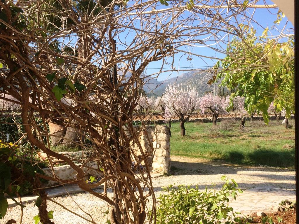 Buena Idea - Adults Only - 3