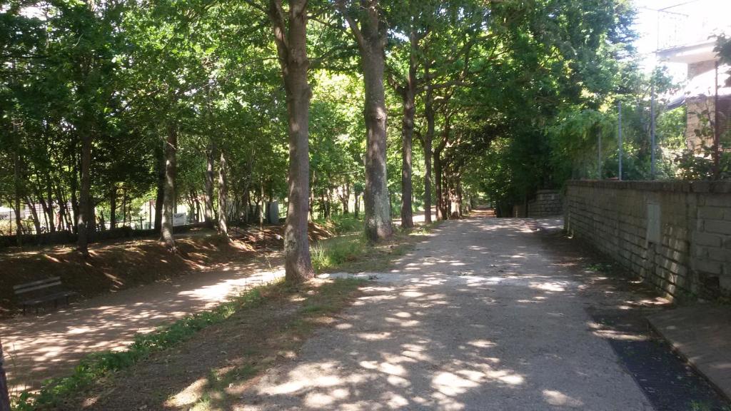 une route bordée d'arbres avec une clôture et des arbres dans l'établissement casavacanze olmata, à Montevirginio