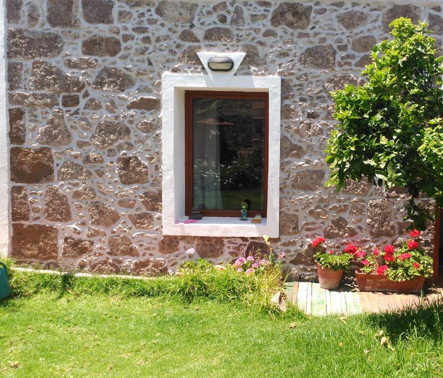 Zahrada ubytování Villa Canaria piscina jacuzzi jardín