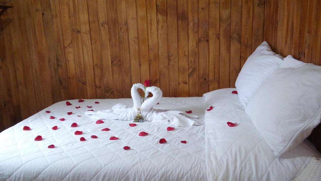 dos cisnes sentados en una cama cubierta de rosas en Sunshine, en Gramado