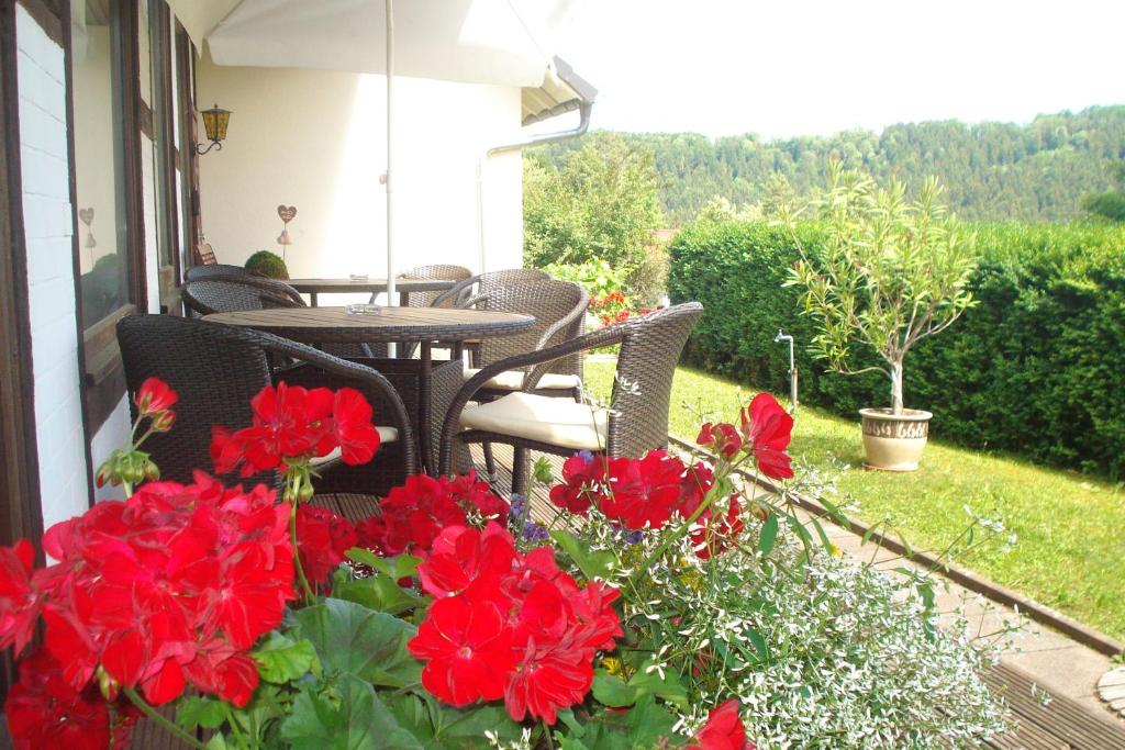 Zahrada ubytování Pension Himmelreich
