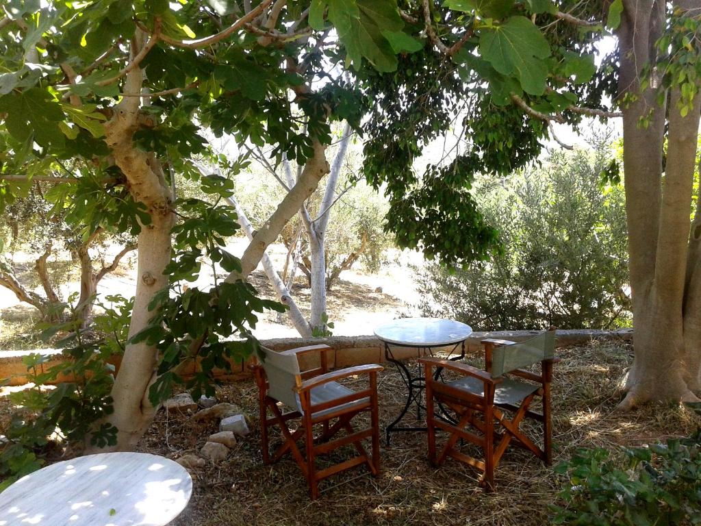 Sunrise Apartments - 
