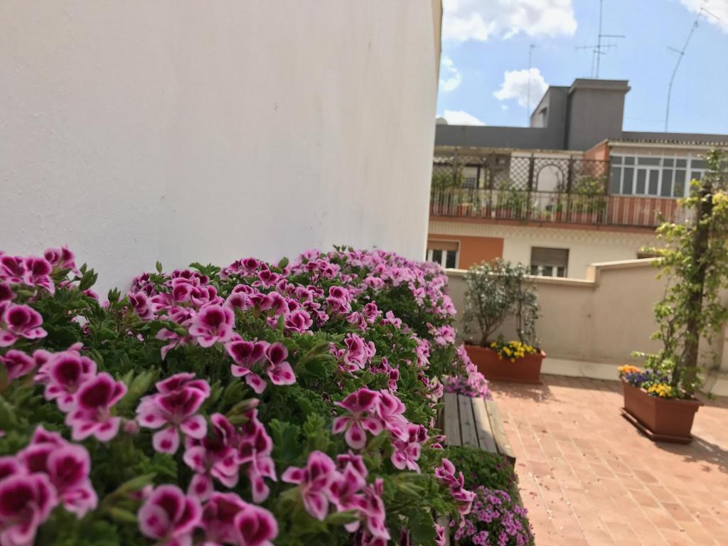Zahrada ubytování Visa Residence