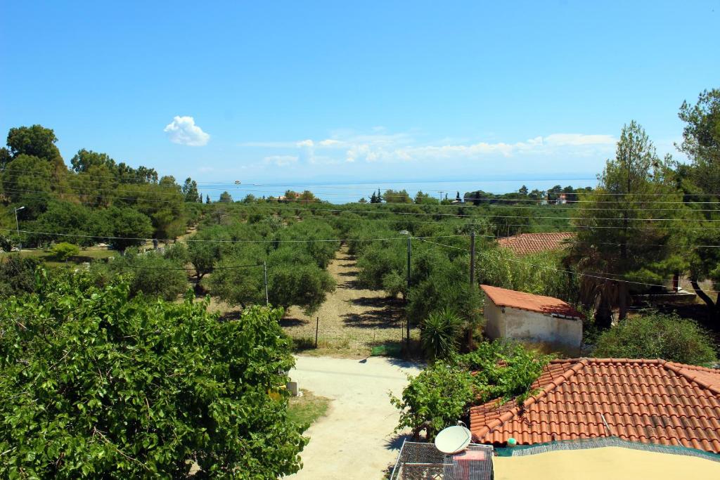 Gallery image of Zante Yliessa in Vasilikos
