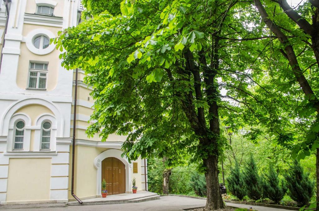 un gran árbol frente a un edificio en Pansionat Oktyabr en Kislovodsk