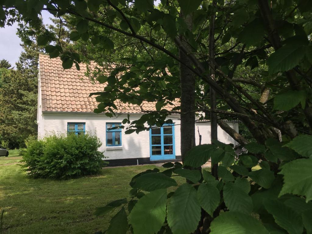 Zahrada ubytování Skovhuset