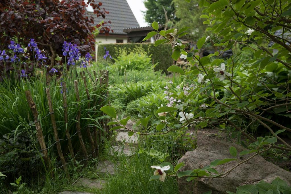 ホーセンスにあるBed & Breakfast Horsensの紫白の花々が植えられた庭園