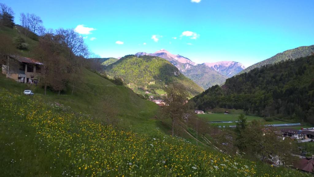 Tiarno di SopraにあるB&B ai Piniの山の草原