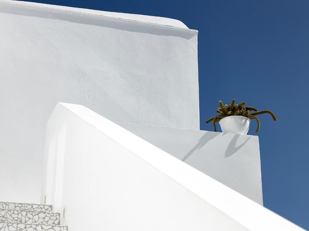 Fotografie z fotogalerie ubytování The Arches v destinaci Oia