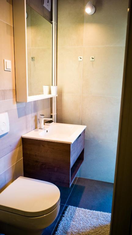 W łazience znajduje się toaleta, umywalka i lustro. w obiekcie Speranza Apartment w Krku