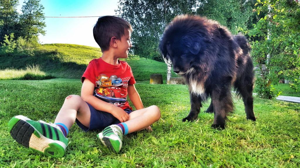 Domácí mazlíčci ubytovaní s hosty v ubytování Masnec Tourist Farm