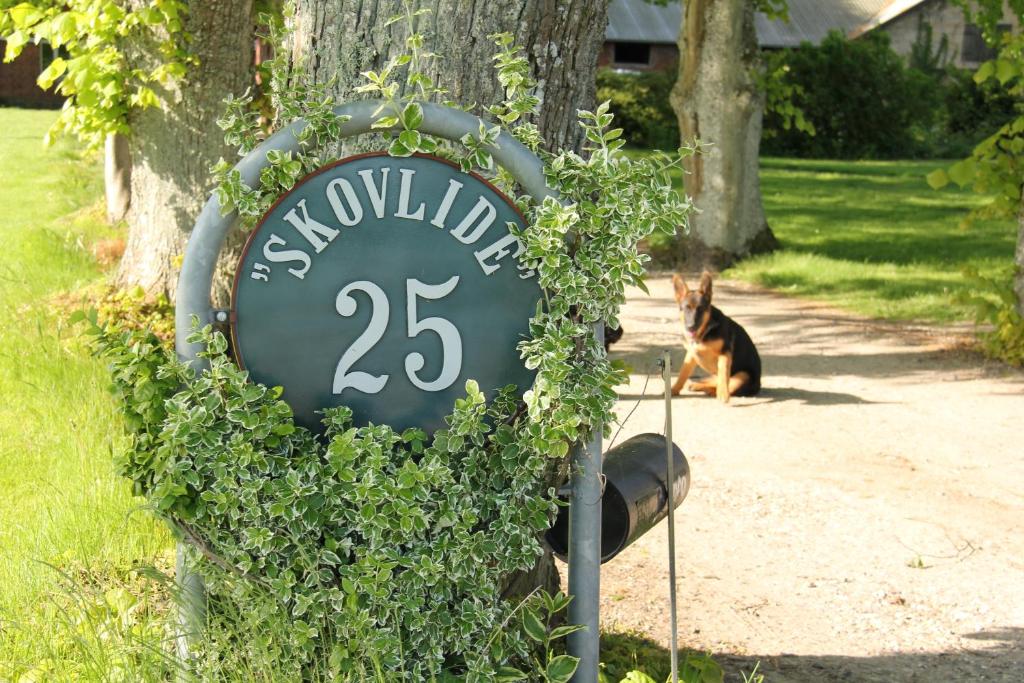 Fotografie z fotogalerie ubytování Skovlide Beautiful Farmhouse v destinaci Edslev