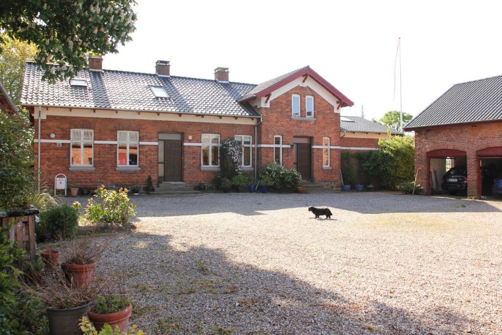 Domácí mazlíčci ubytovaní s hosty v ubytování Skovlide Beautiful Farmhouse
