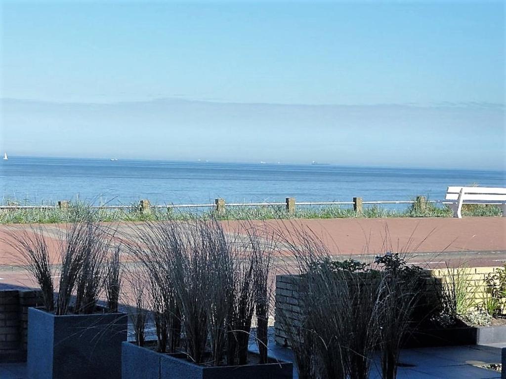 a view of a beach with some plants and the ocean at Benny's Beach House 2 in Zandvoort