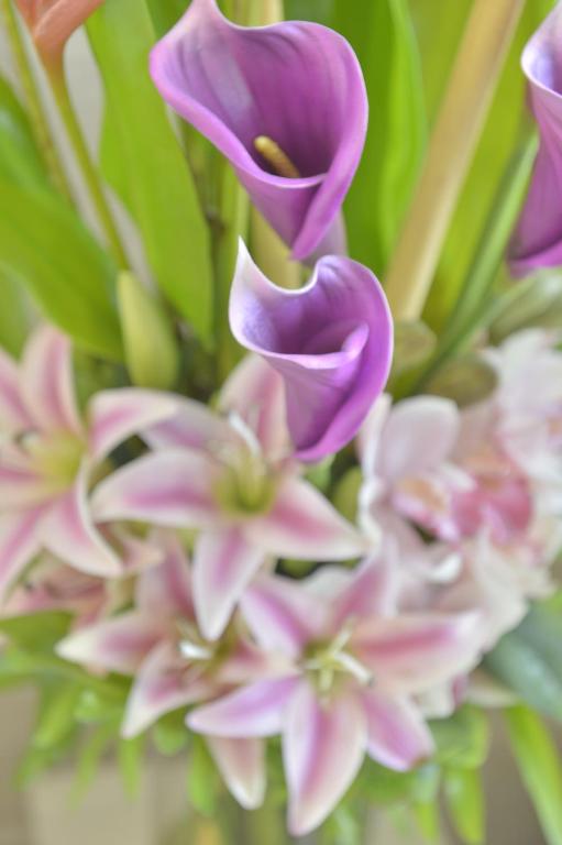 Unic Renoir Saint Germain - Resim 31