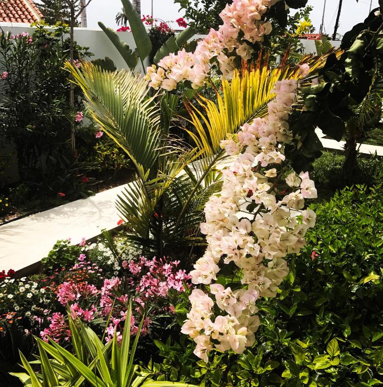 Villa Adler Men Only - 18