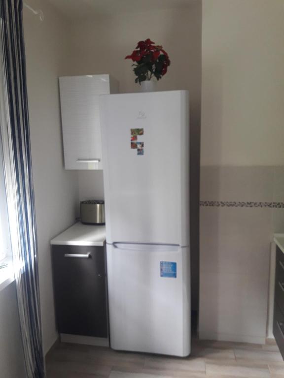 Kuchyňa alebo kuchynka v ubytovaní Sv & Angel Apartment
