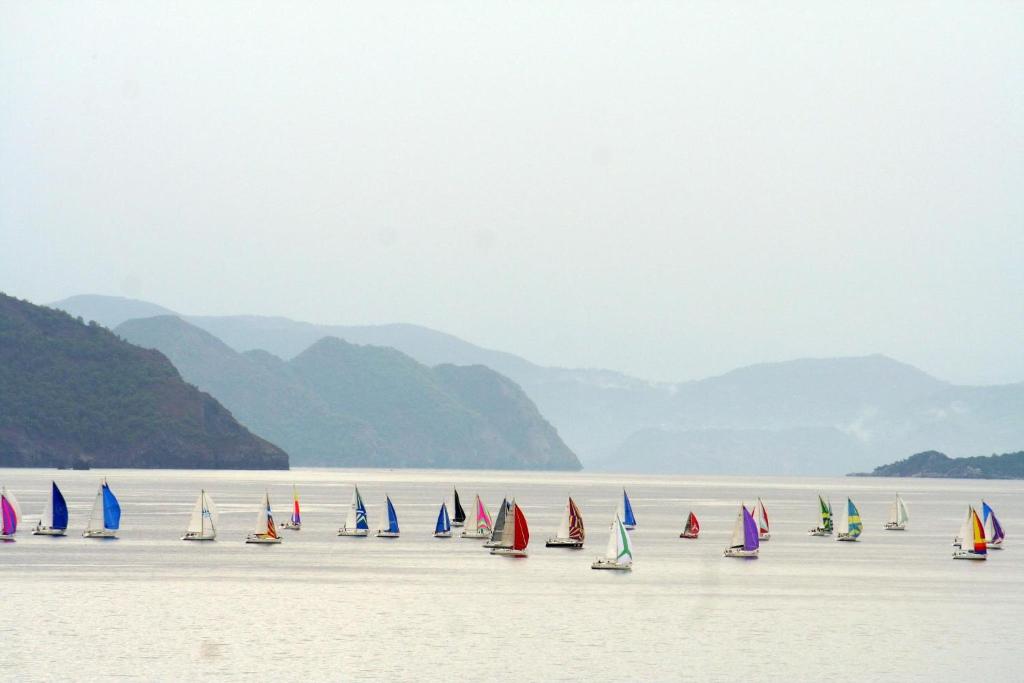 a group of sailboats on a body of water at Pisces Hotel in Turunç