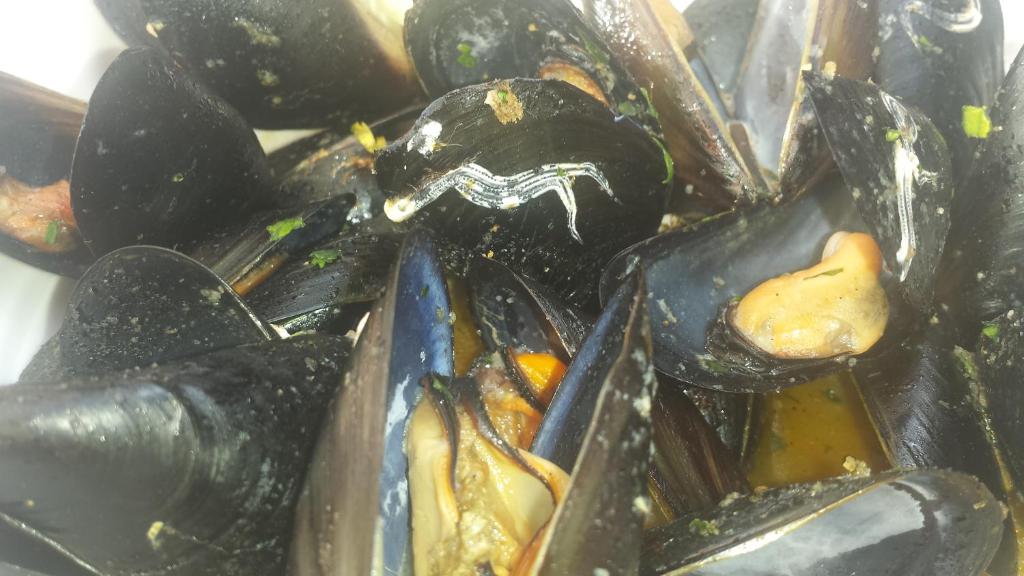 a bunch of mussels in a plastic bag at Restaurant &amp; rooms Visovac - best value in Skradin