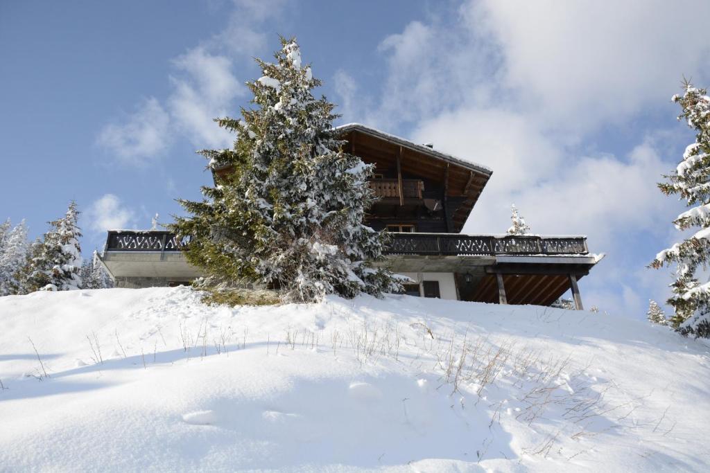 レ・クロゼにあるChalet La Folieの雪の丘の上の家