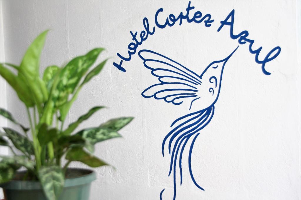 a blue bird on a wall with the words you squeeze art at Hotel Cortez Azul in Alajuela City