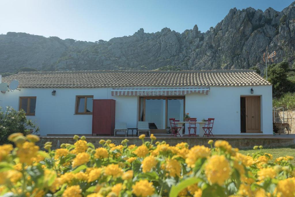 een wit huis met bergen op de achtergrond bij Casa de Campo La Estancia in Tarifa