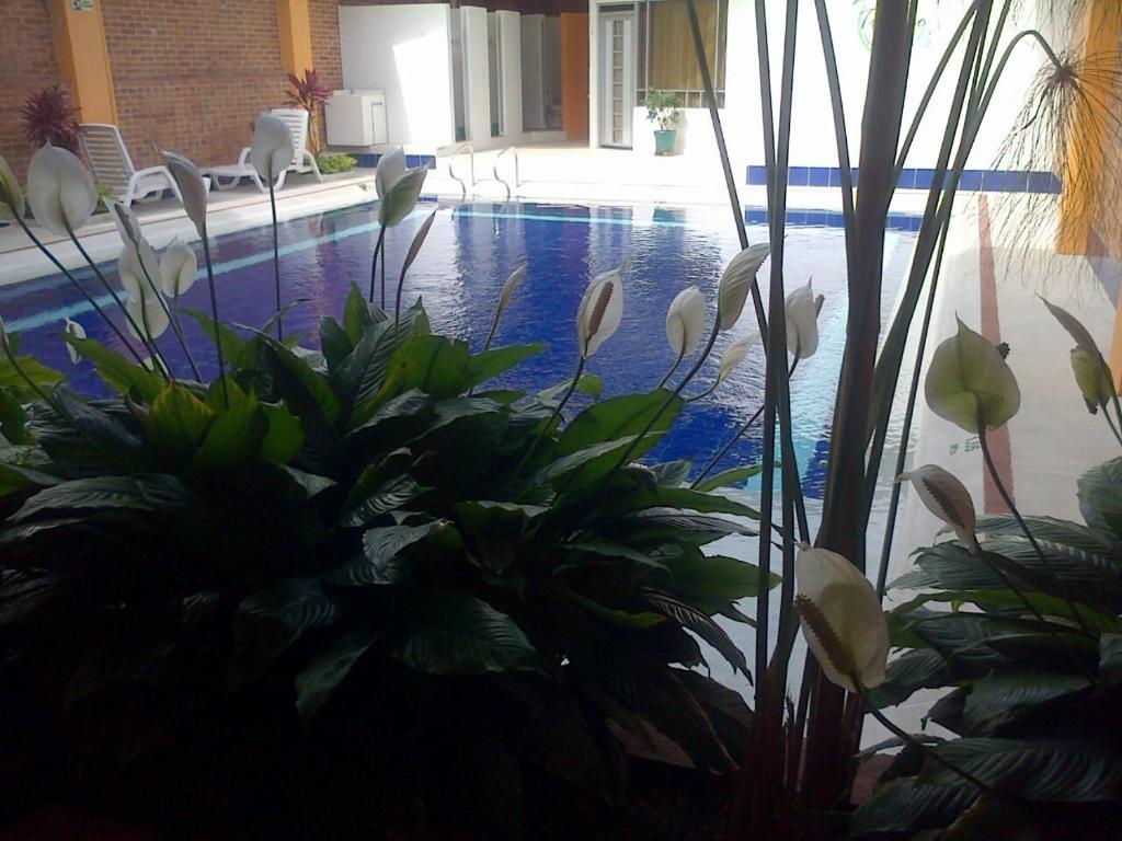 Hotel Tropico Real Mesitas