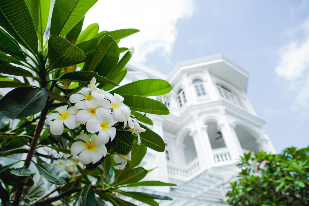 a tree with white flowers in front of a white house at Villa Song Saigon in Ho Chi Minh City