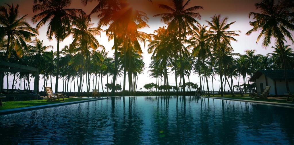 a swimming pool with palm trees in the background at Twin Waters Resort in Chilaw