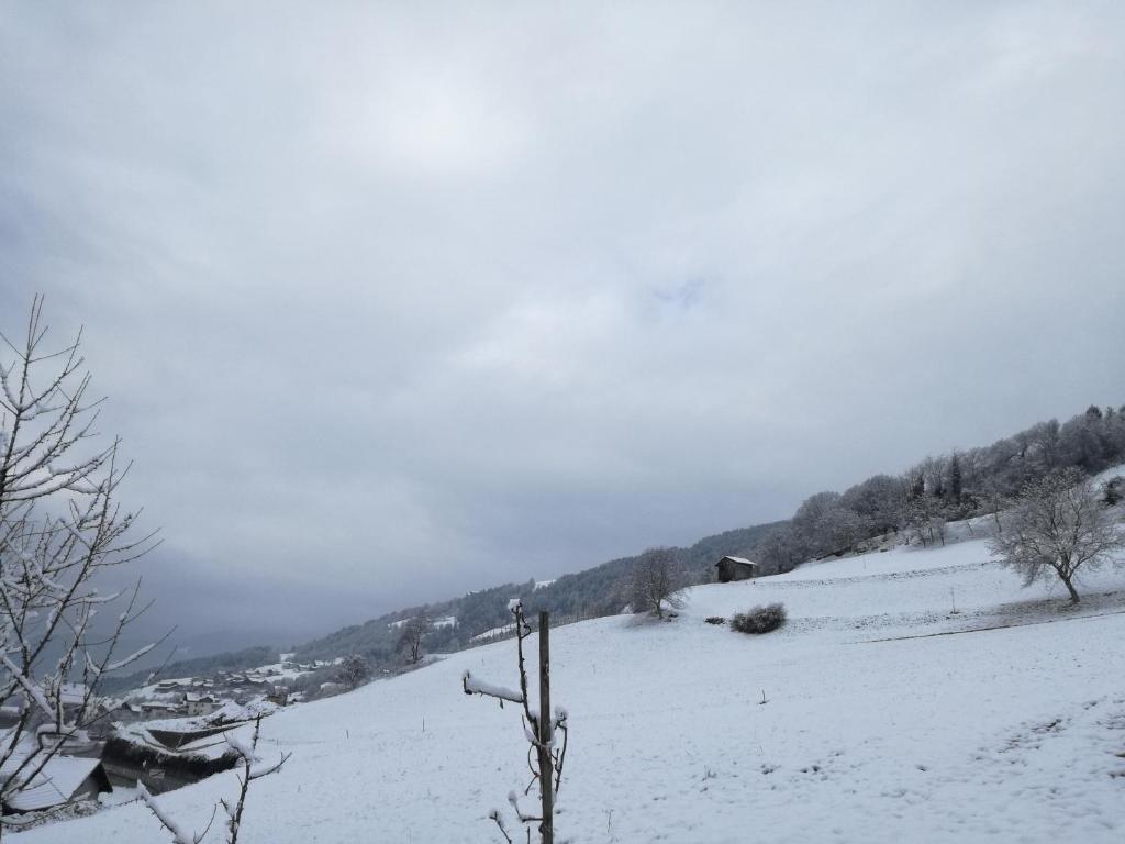 Brunnerhof v zimě