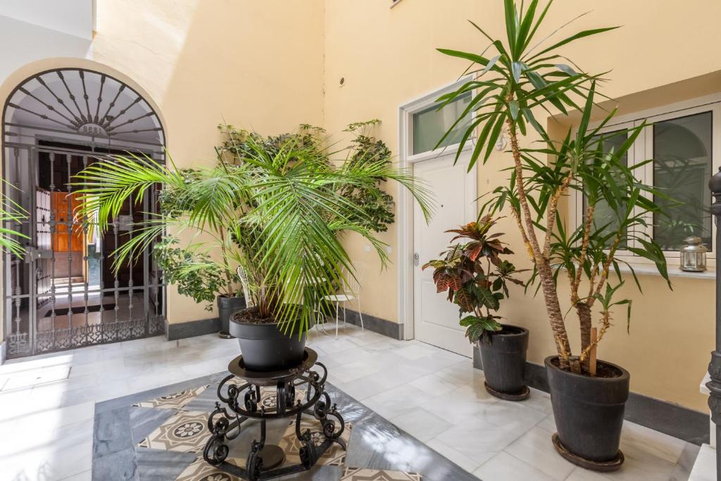 Vonkajšia záhrada v ubytovaní Apartamentos Mariscal