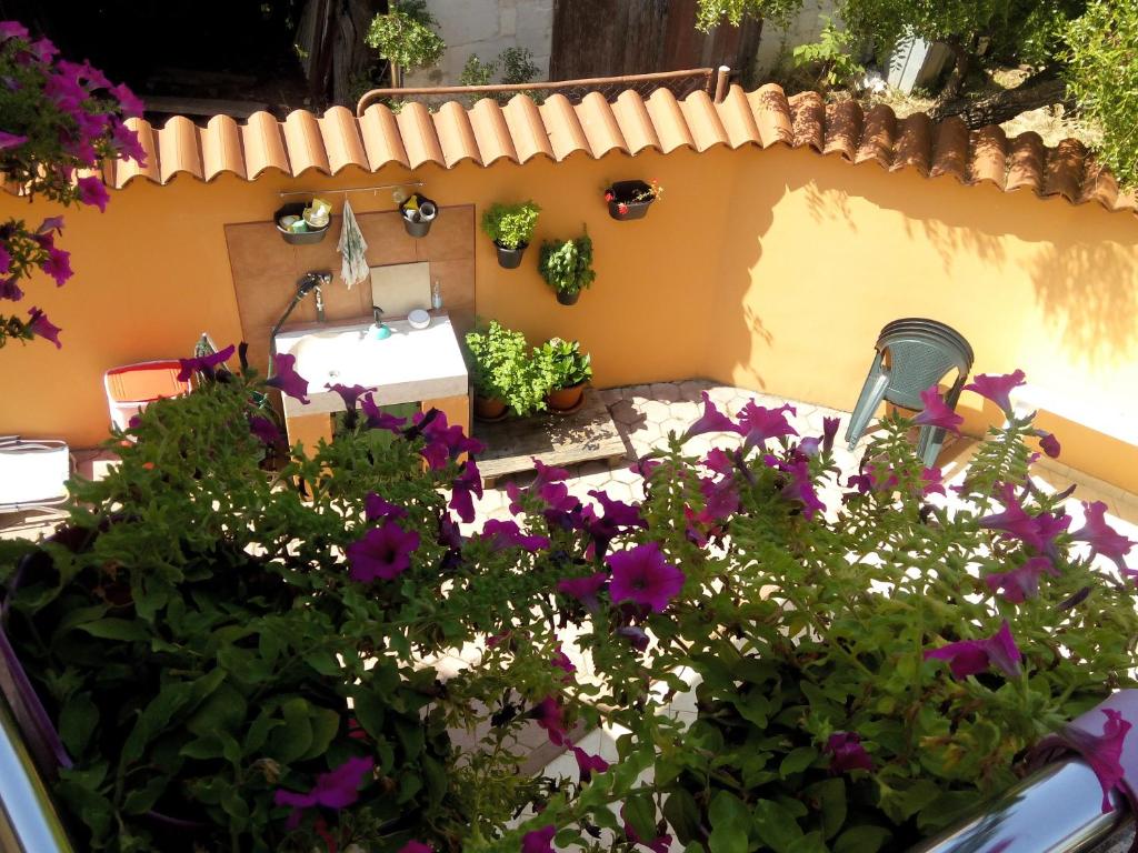 a garden with purple flowers and a wall at Apartments Villa Elda in Peroj