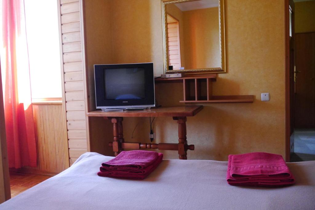 TV a/nebo společenská místnost v ubytování Malvy hotel