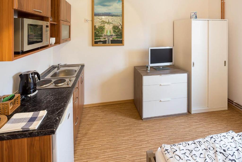 Kuchyň nebo kuchyňský kout v ubytování Apartmány Pod náměstím