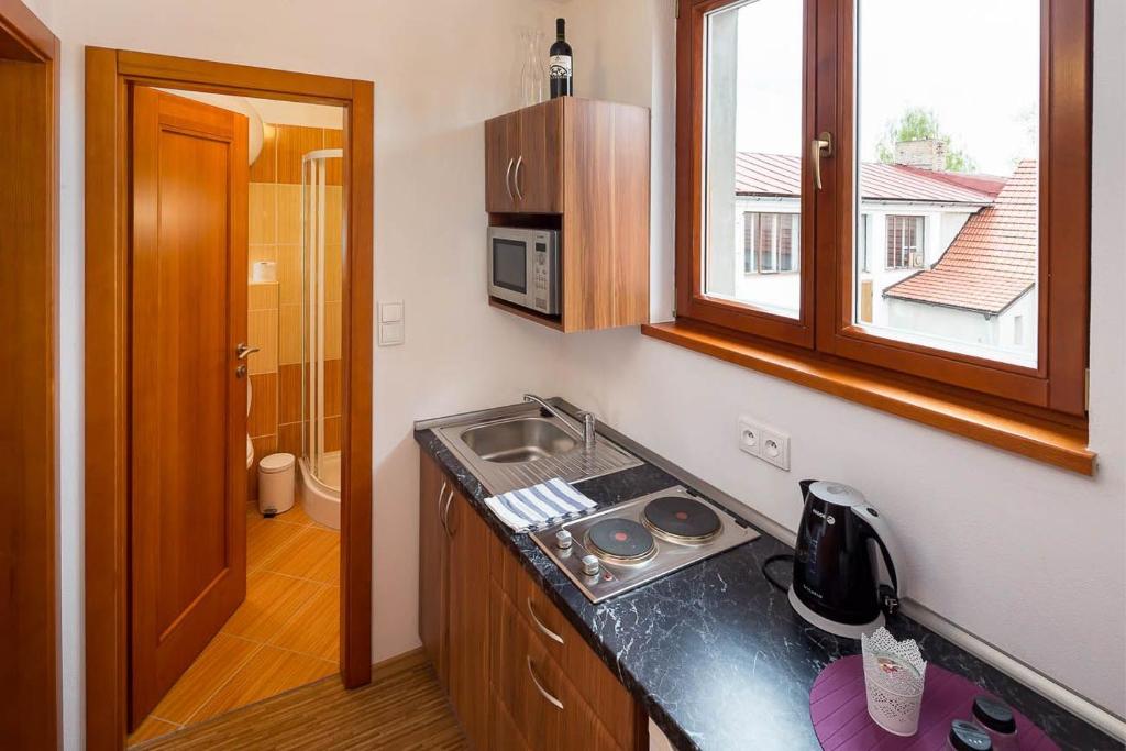 Kuchyň nebo kuchyňský kout v ubytování Apartmány Pod náměstím